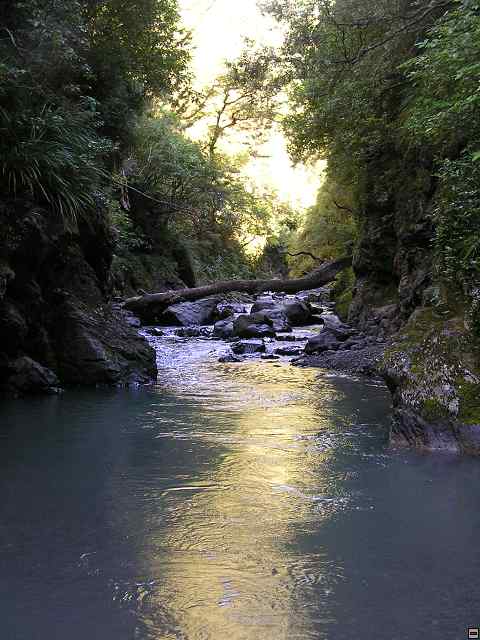 NZ leden-unor 2006 236.jpg